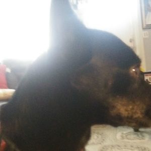 Meet your Posher, Jonathan